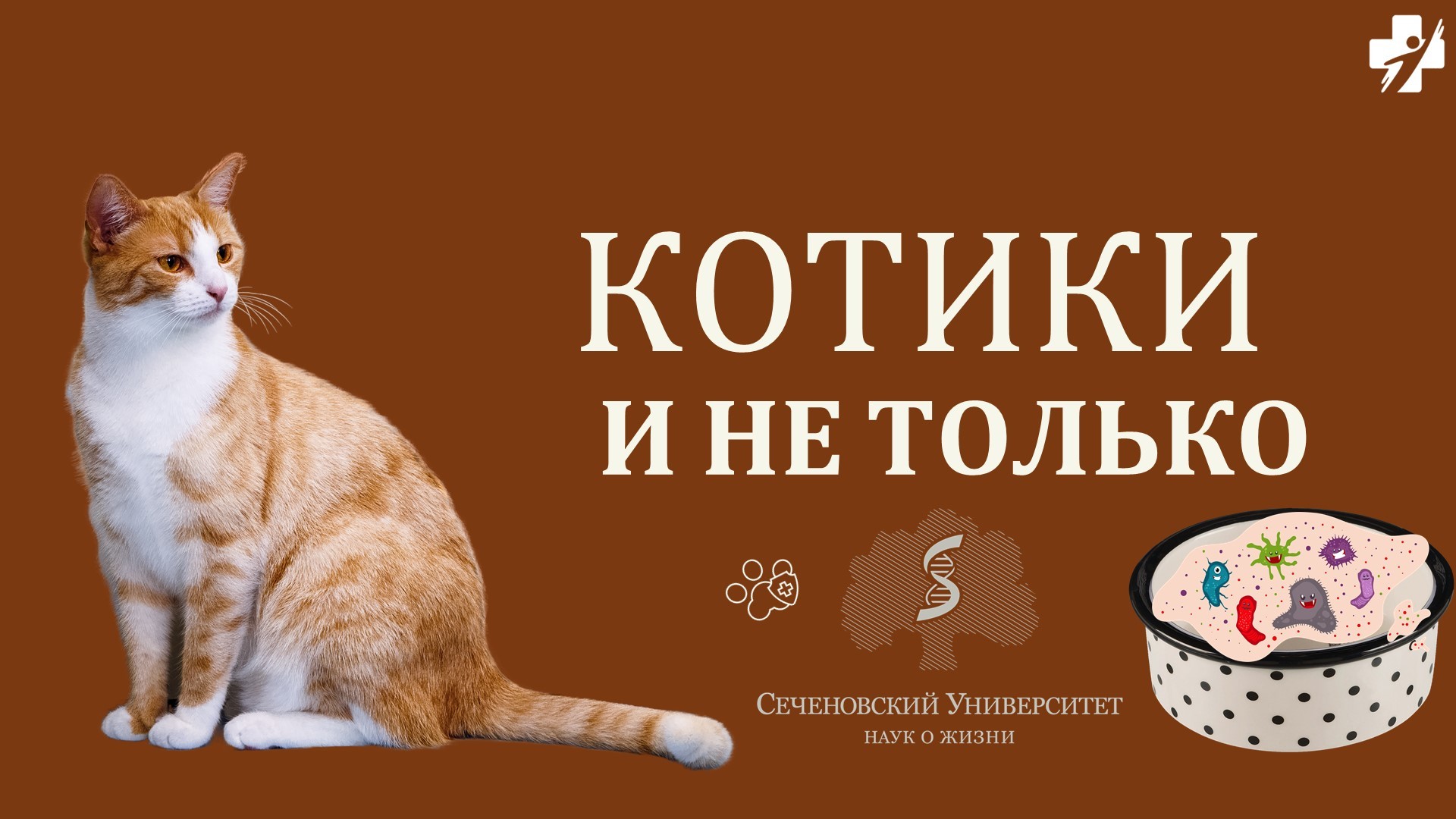 Как сделать содержание домашних и экзотических животных безопасным? Увлекательная лекция на экспозиции Минздрава России.