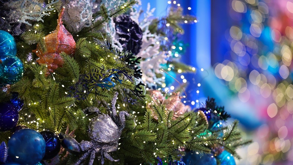 Morozko at the National Centre RUSSIA: a magical portal into the heart of the family