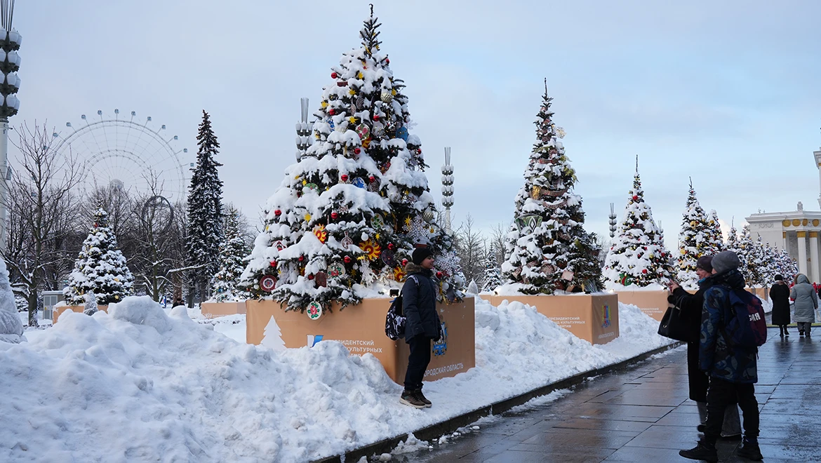 Ель Новгородской области: крестецкие снежинки и звон валдайских колокольчиков