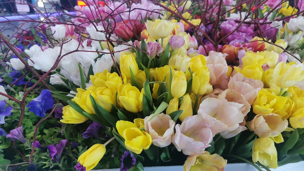 Tulips, wild rosemary and red-listed globeflowers bloomed at the RUSSIA EXPO