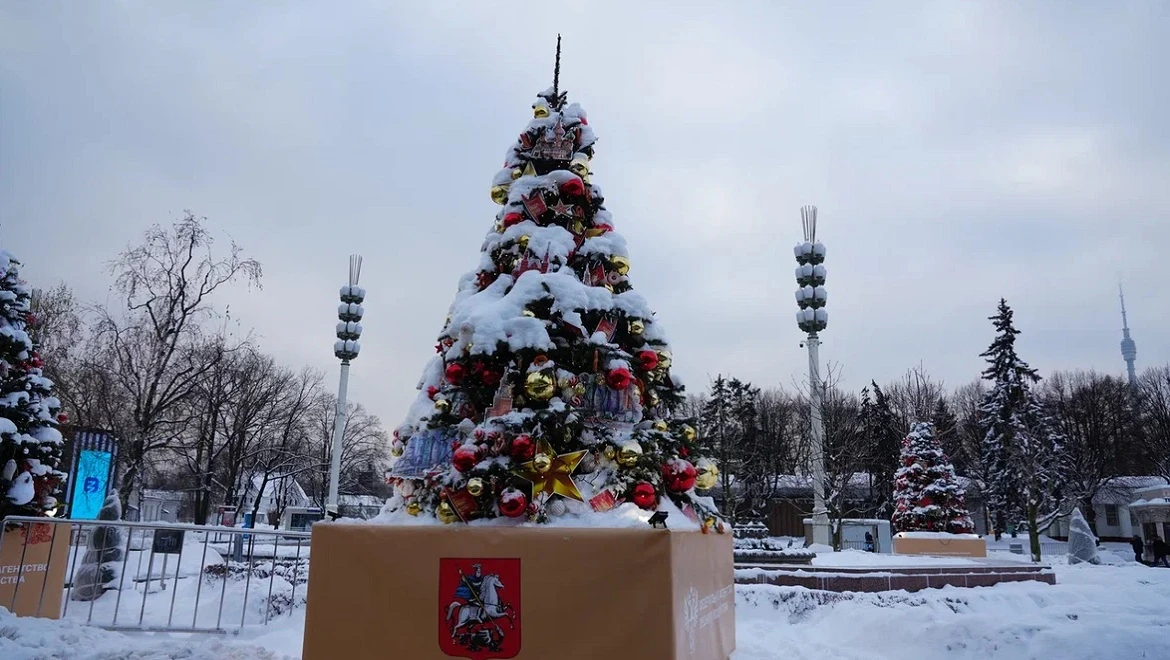 Новогодняя ель Москвы: московское чаепитие на фоне Кремля