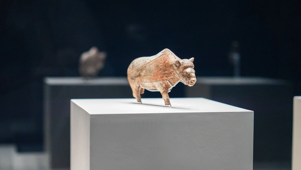 From the Zaraysk bison to the Palaeolithic 