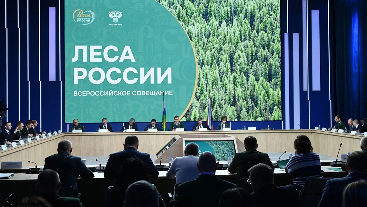 The key results of the forestry sector work were summarized at the RUSSIA EXPO
