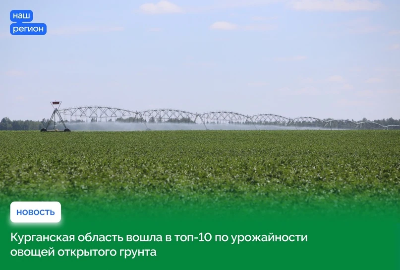 Курганская область вошла в десятку регионов России по показателю урожайности овощей