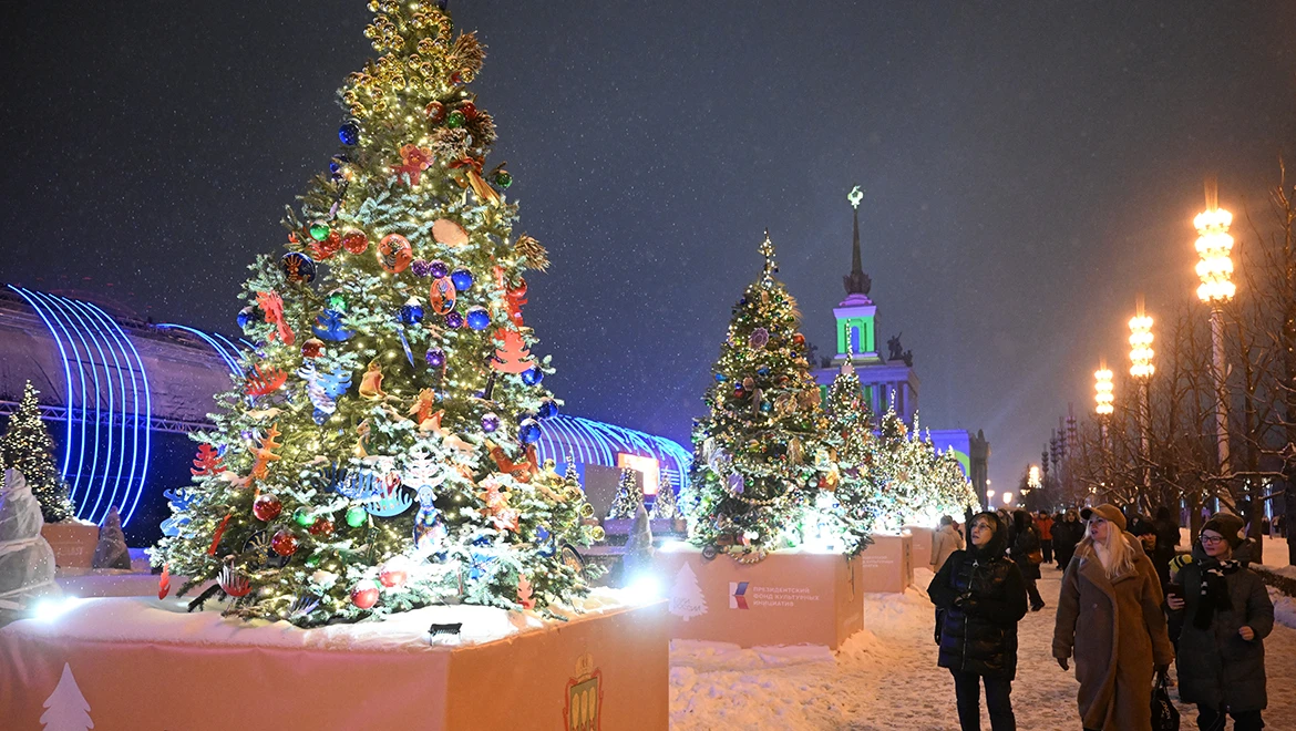 Первые новогодние ели России засияли яркими огнями