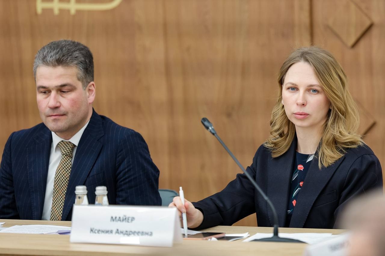Meeting of the Expert Council on Architecture and Urban Development of the National Centre RUSSIA
