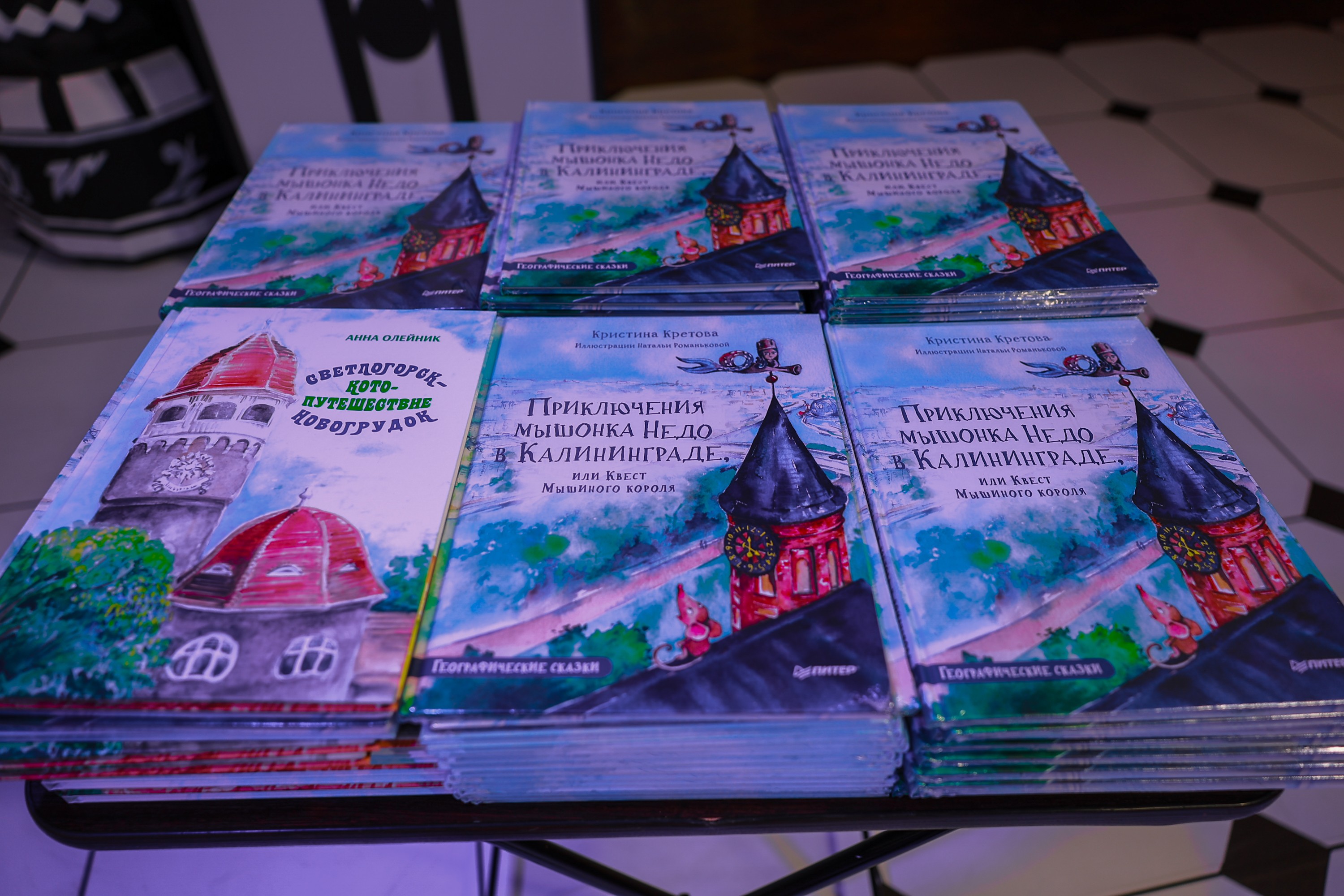 Presentation of a children’s book about the Kaliningrad region at the 