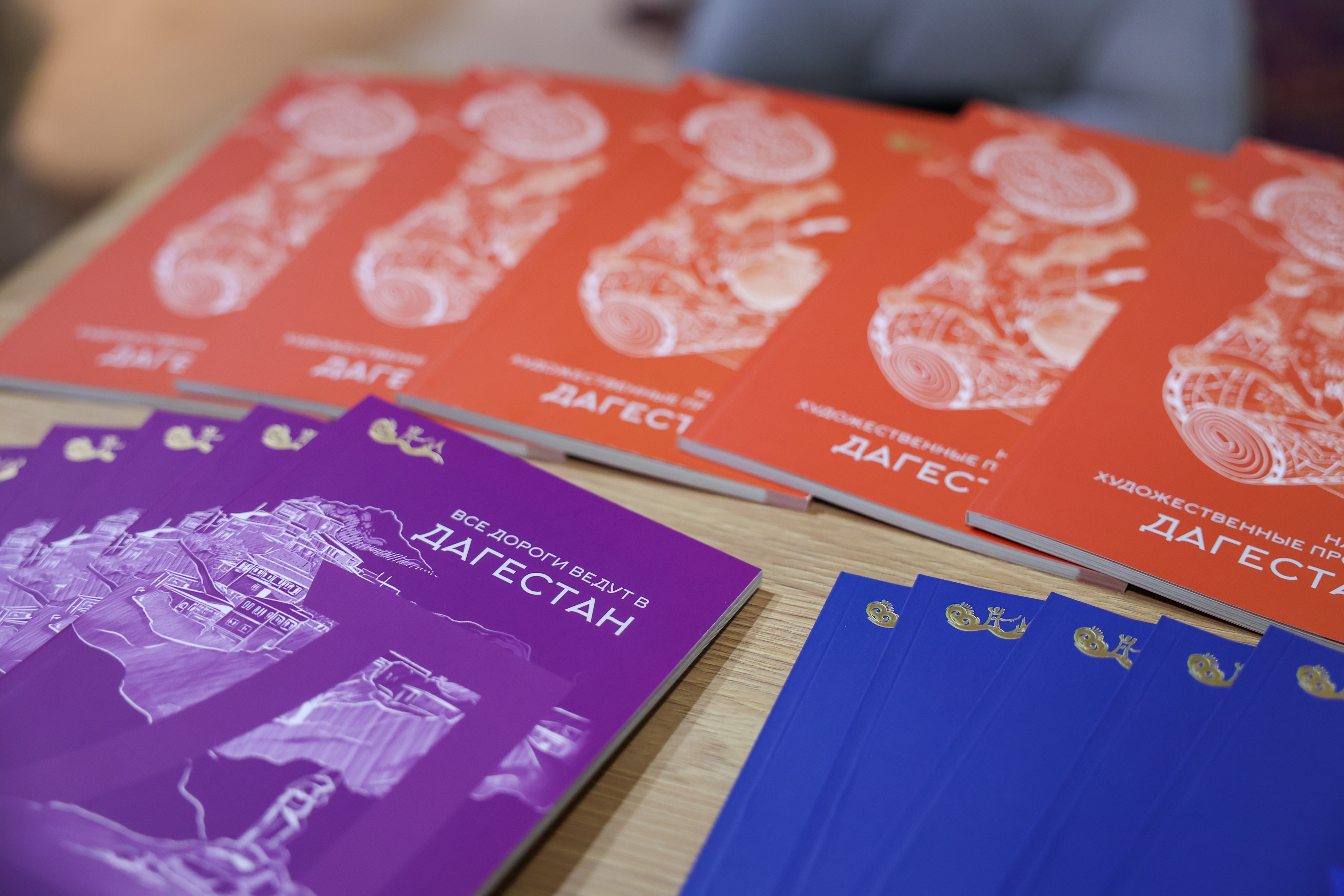 Meeting with Head of the Republic of Dagestan Sergei Melikov