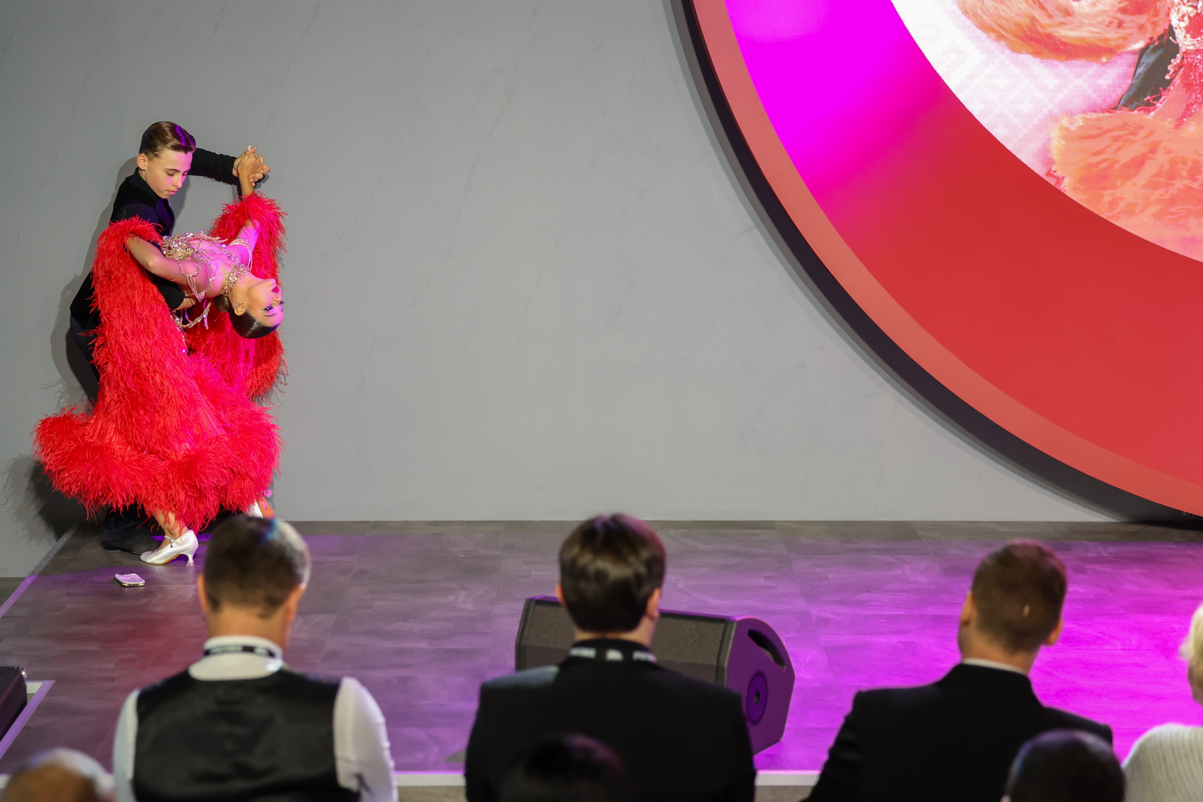 Demonstration performances by regional sports federations and sports schools of the Voronezh region