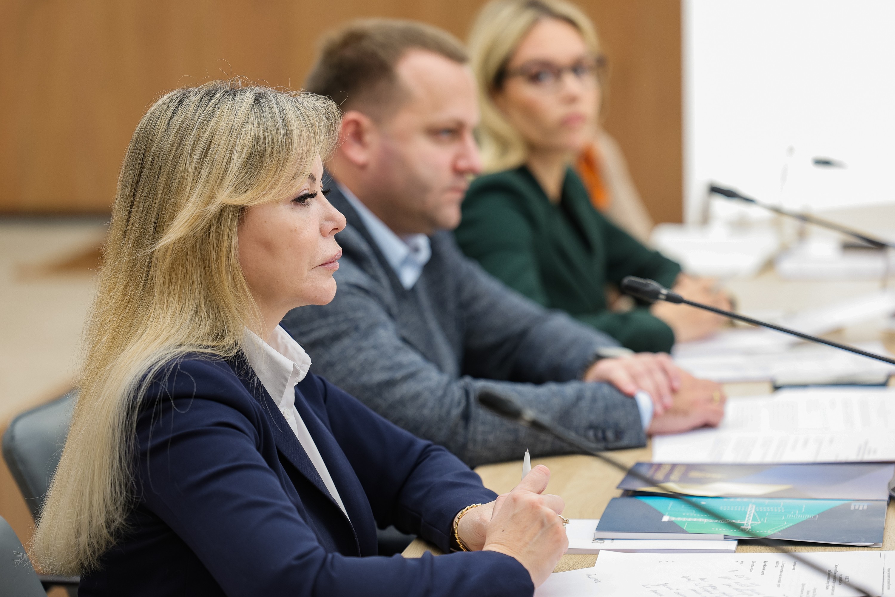 Meeting of the Expert Council on Architecture and Urban Development of the National Centre RUSSIA