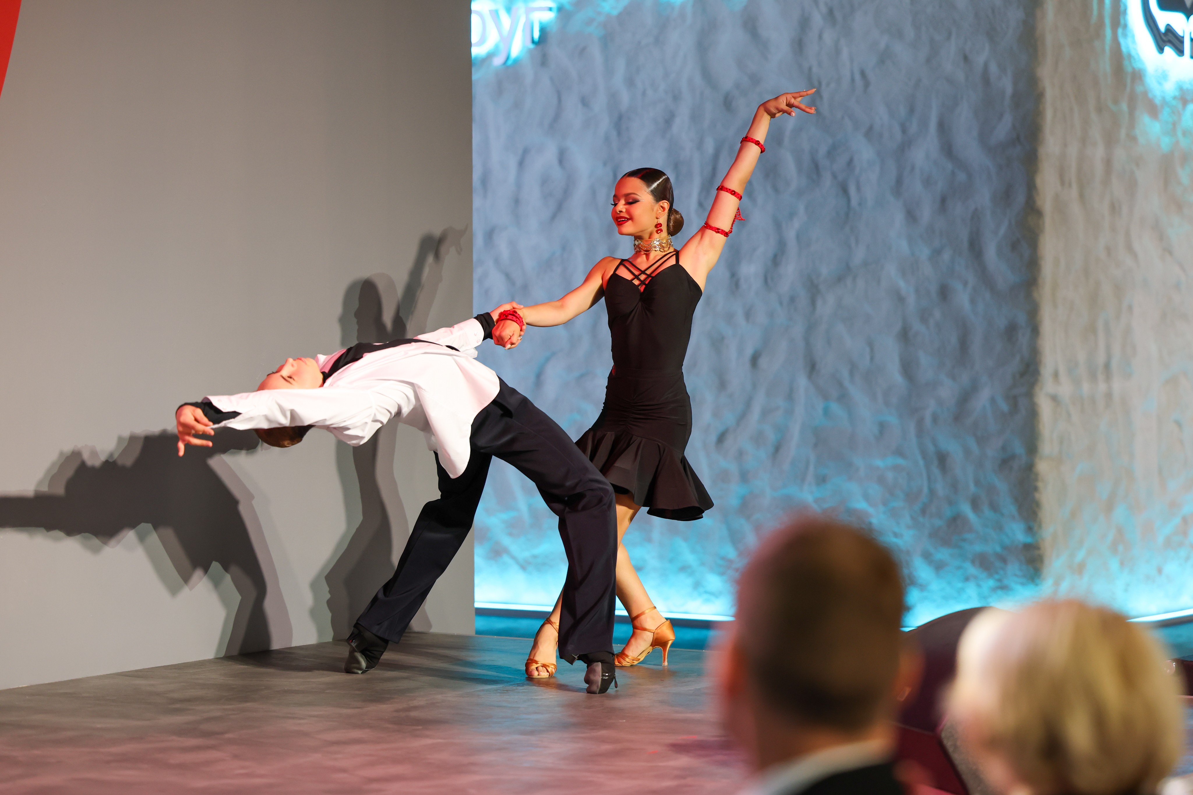 Demonstration performances by regional sports federations and sports schools of the Voronezh region