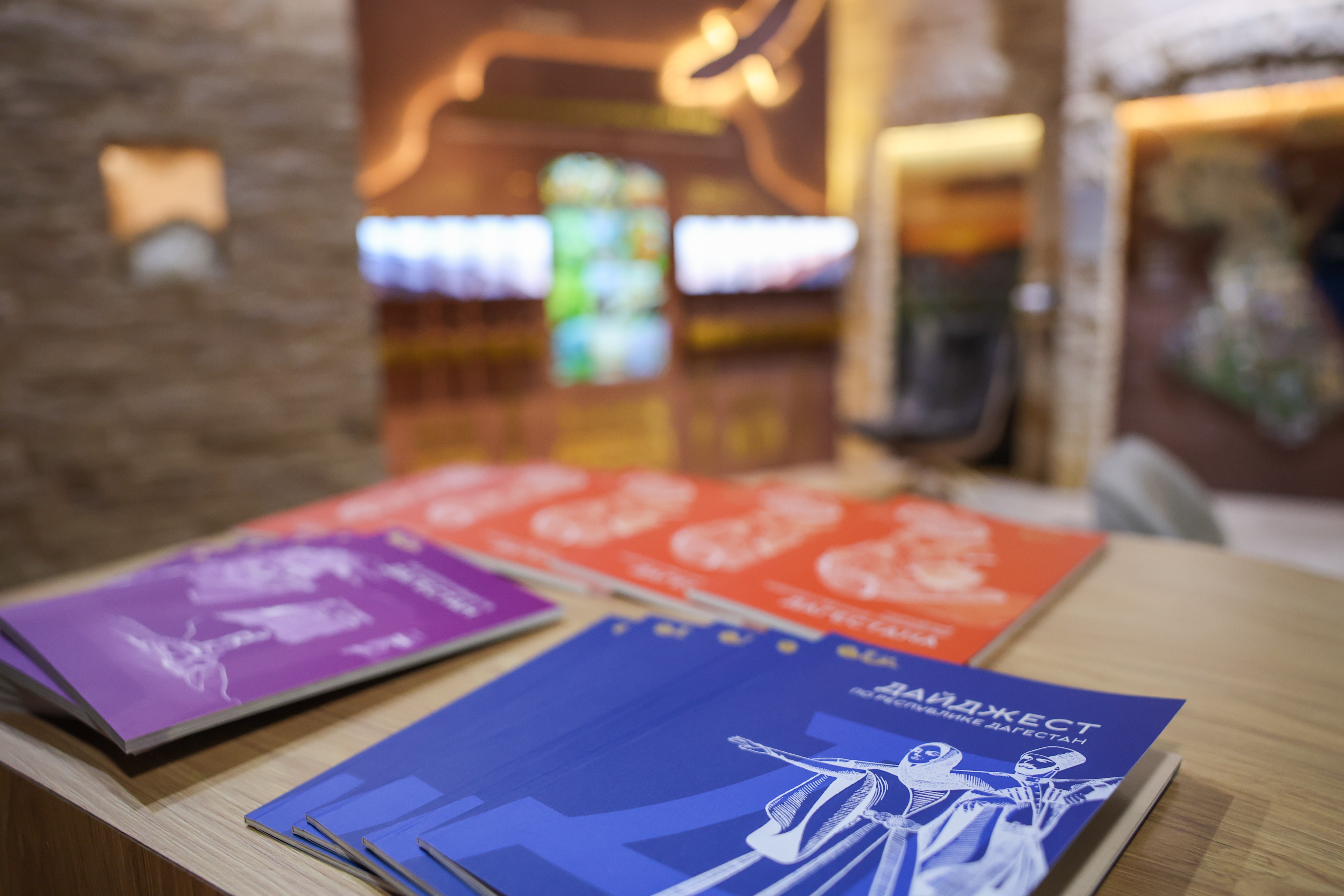 Meeting with Head of the Republic of Dagestan Sergei Melikov