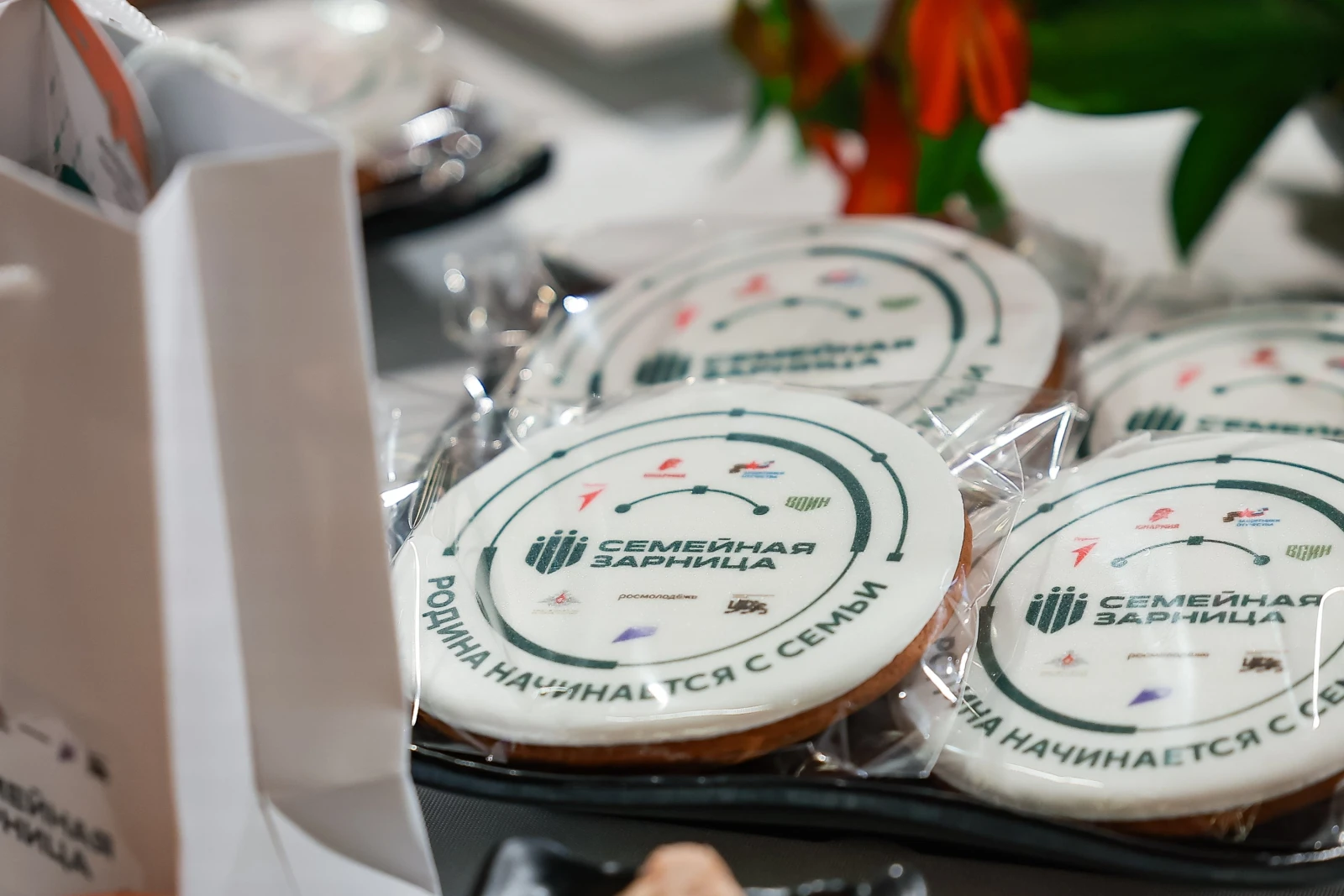 Grand opening of the second season of the All-Russian game 