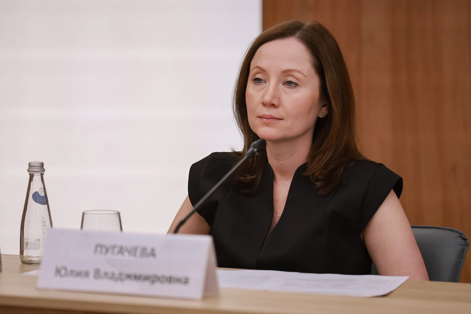Meeting of the Council for Architecture and Urban Planning under the National Centre RUSSIA