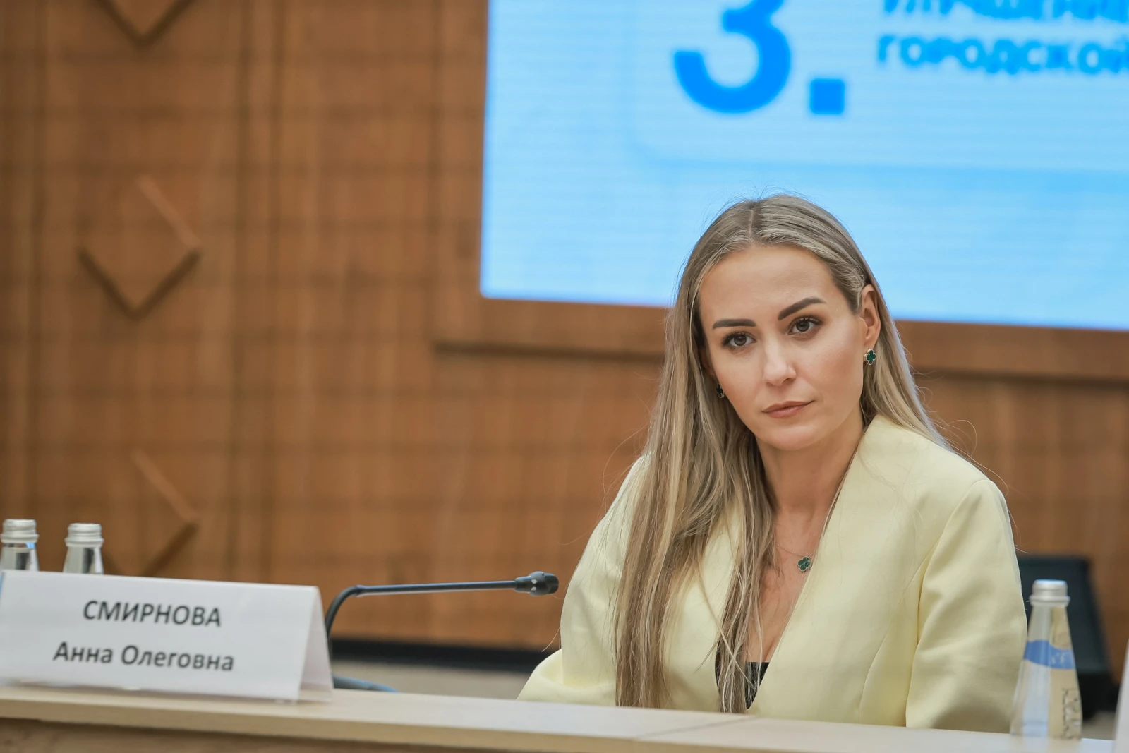 Meeting of the Council under the National Centre RUSSIA for the Development and Promotion of a New Russian Style in Public Spaces