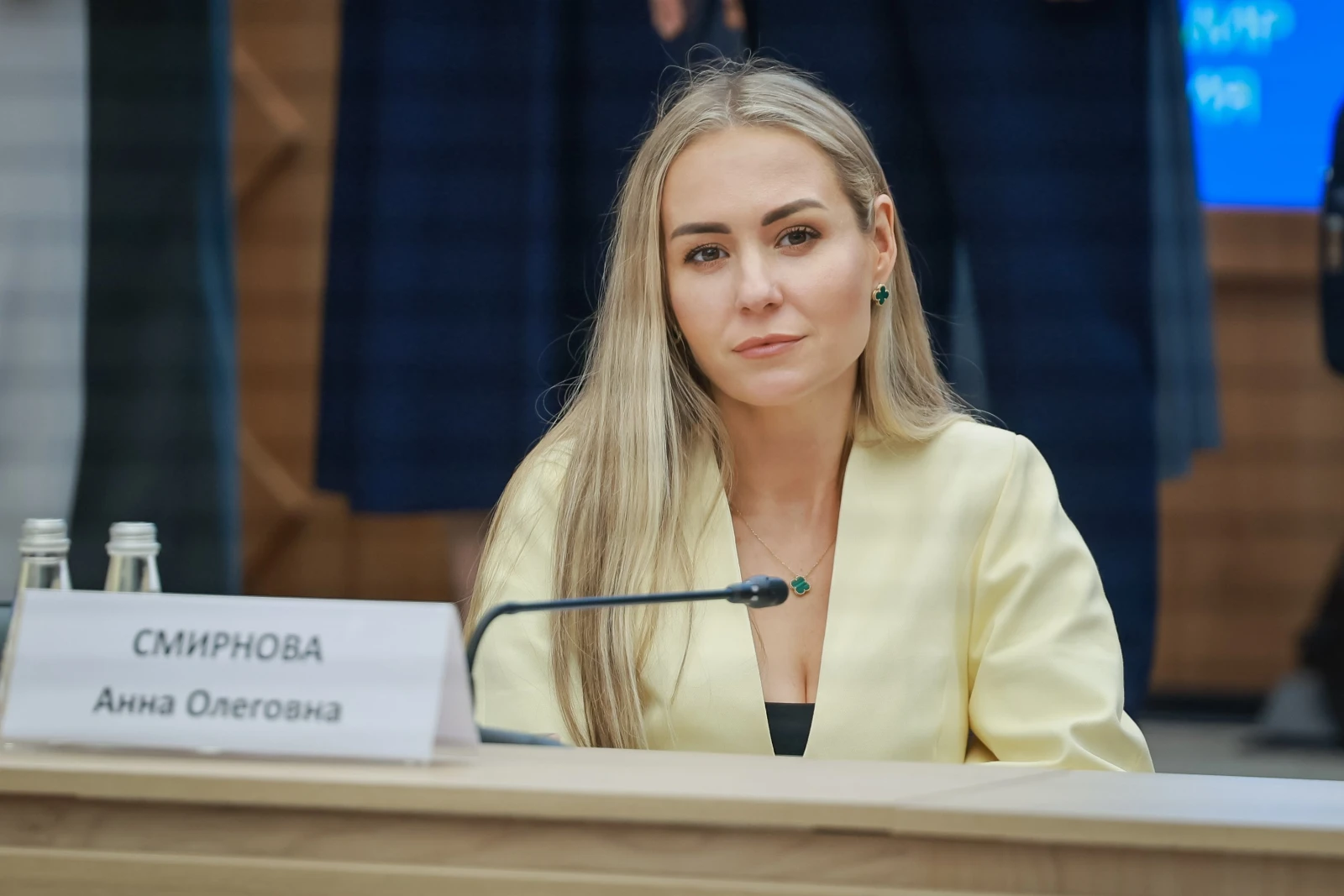 Meeting of the Council under the National Centre RUSSIA for the Development and Promotion of a New Russian Style in Public Spaces