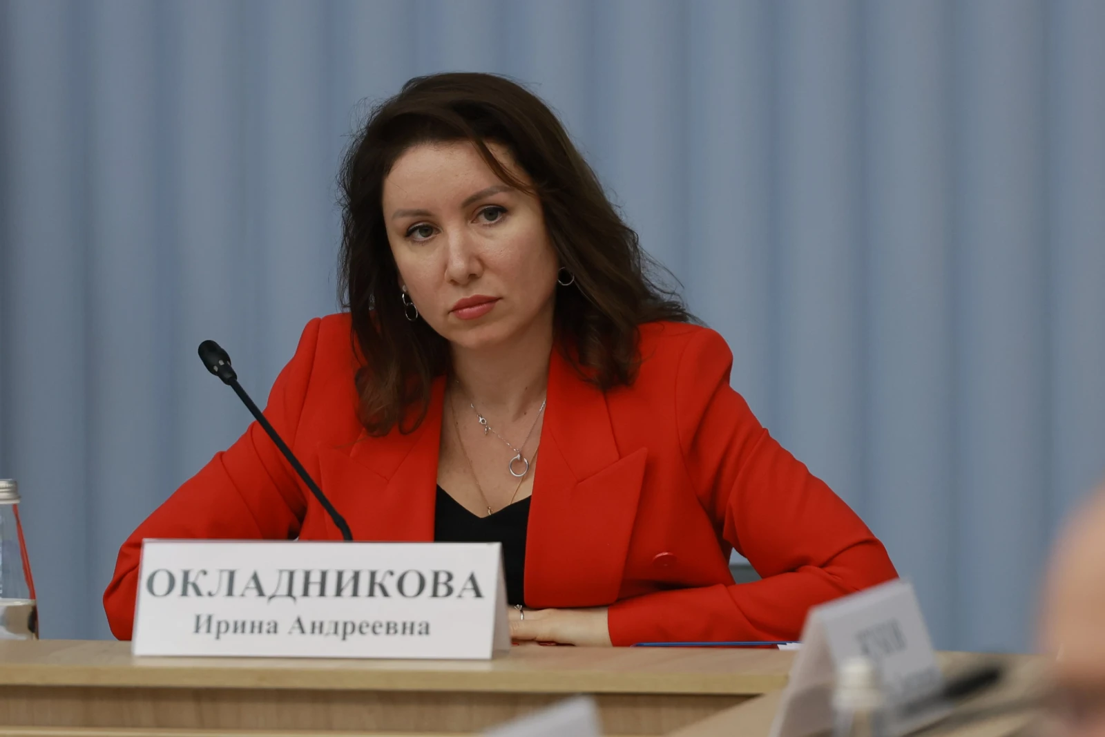 Meeting of the Organising Committee of the National Centre RUSSIA