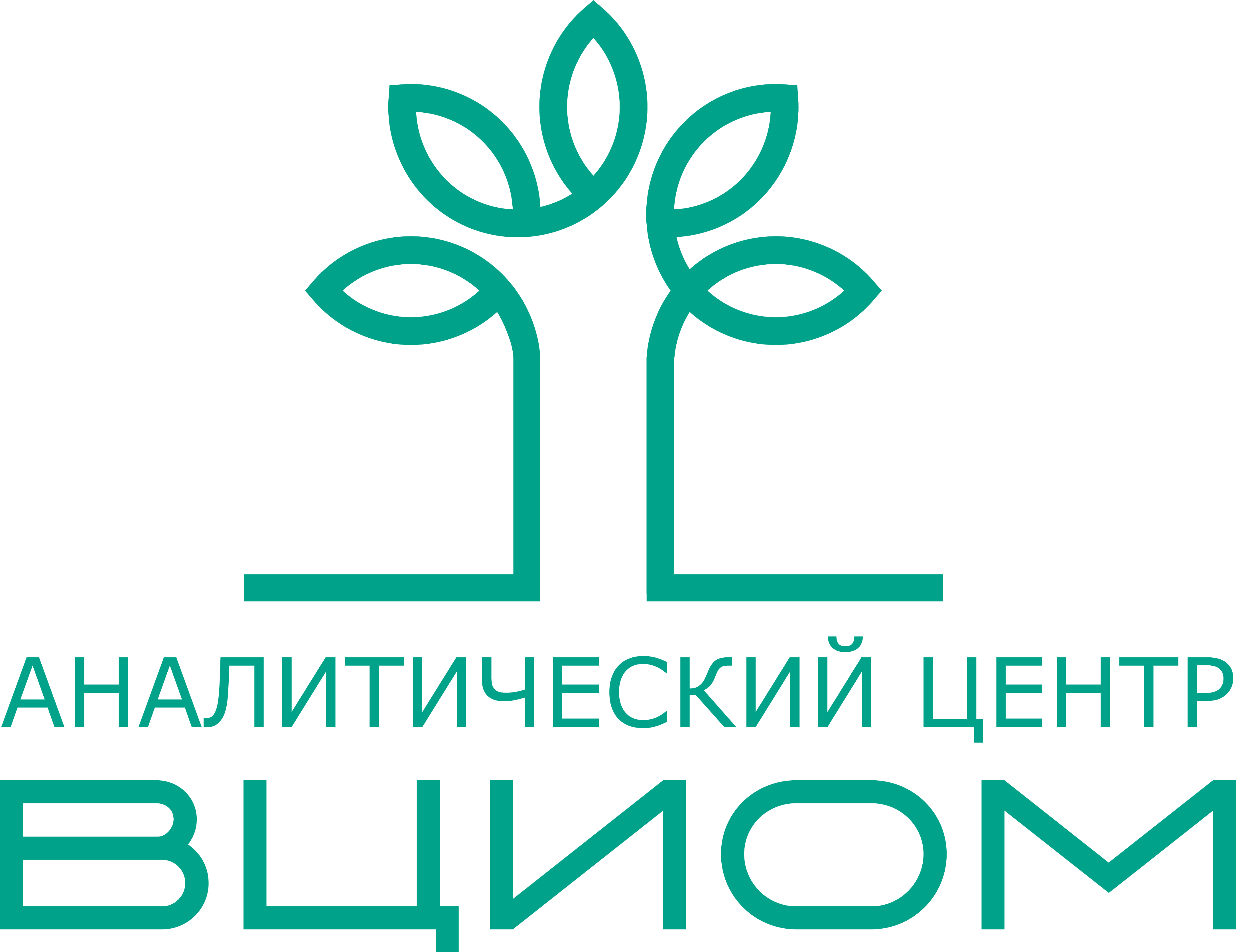 Analytical Center VTsIOM