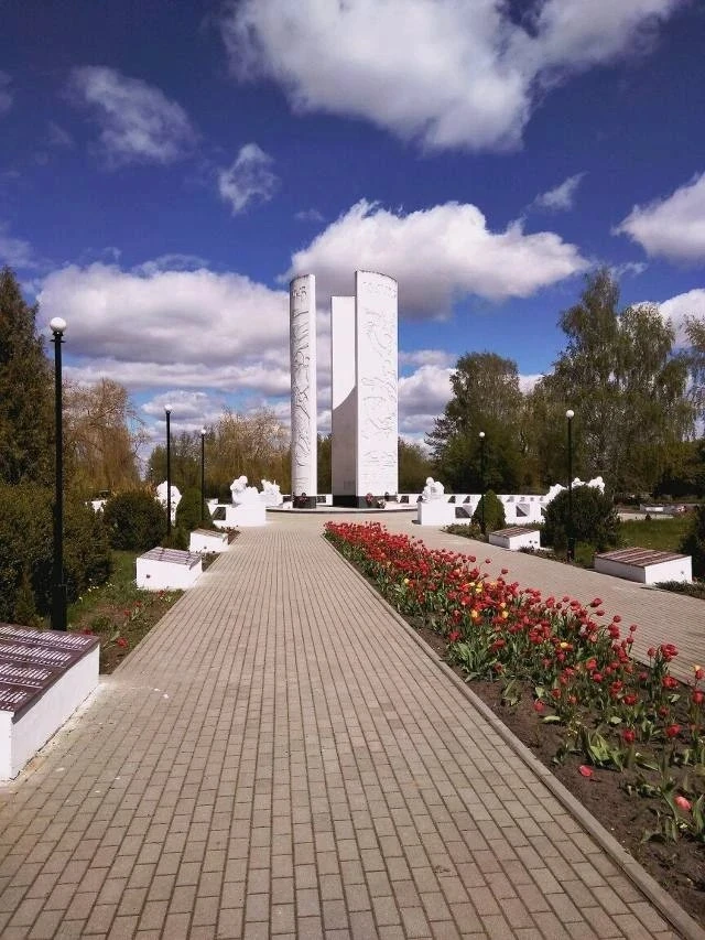 «А превратились в белых журавлей»:  очерк выпускницы Школы юного журналиста Николь Рошки